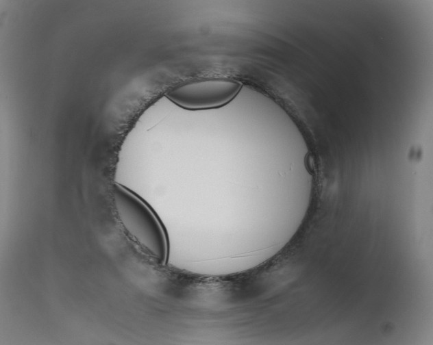 X0000111190307200907151356