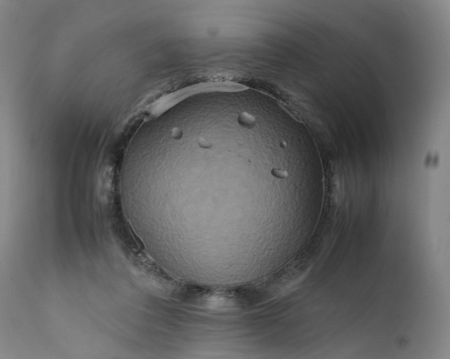 X0000111190308200907151356