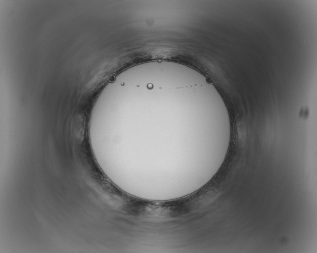 X0000111190311200907151356