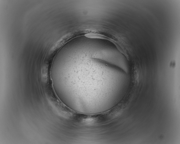 X0000111190312200907151356