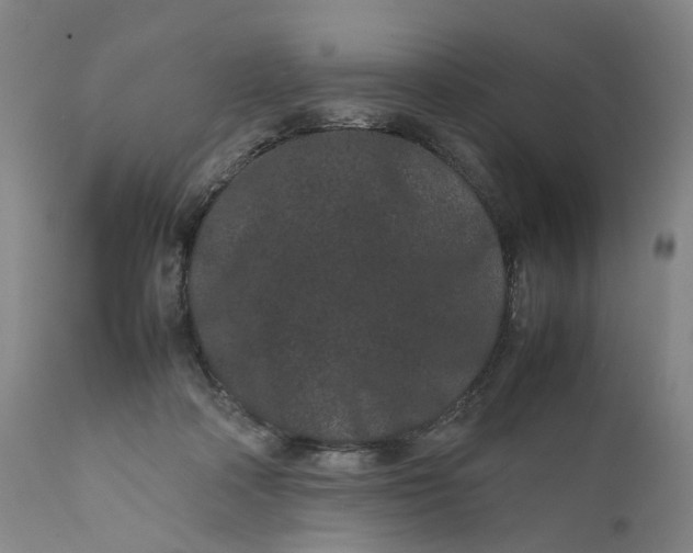 X0000111190314200907151356