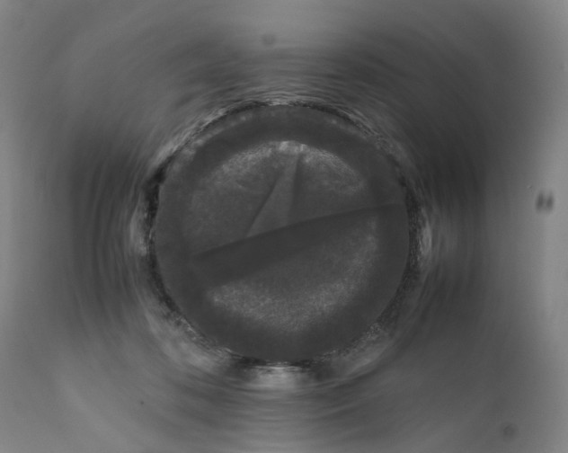 X0000111190316200907151356