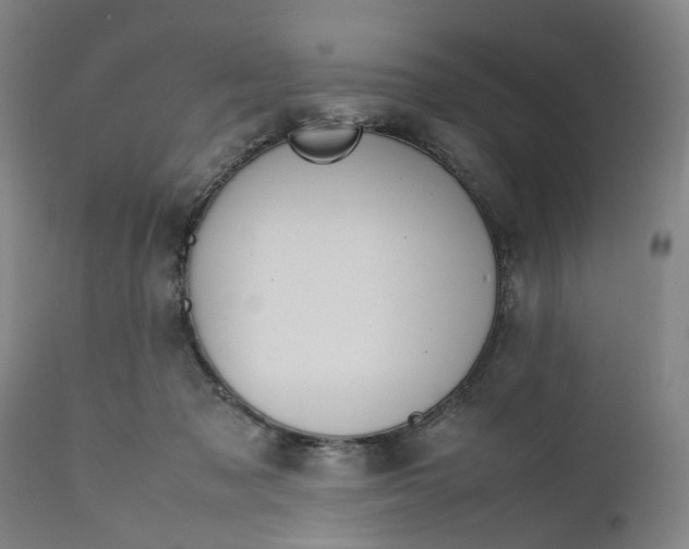 X0000111190317200907151356