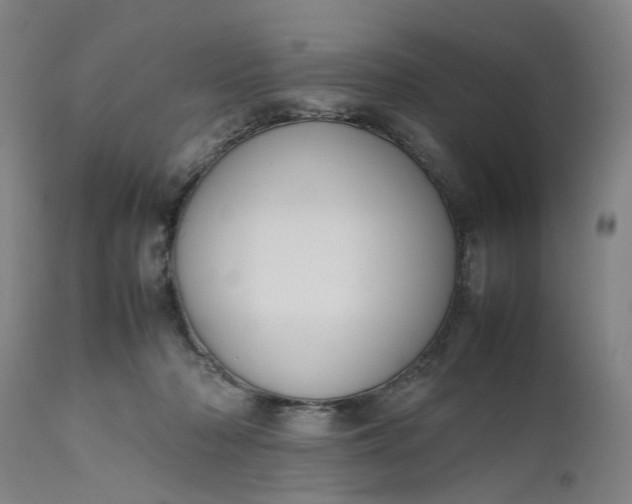 X0000111190318200907151356