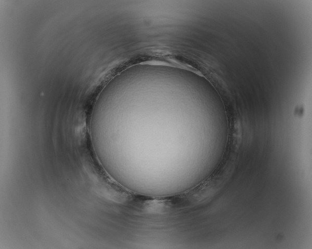 X0000111190320200907151356