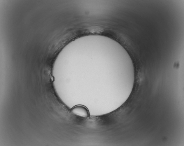 X0000111190321200907151356