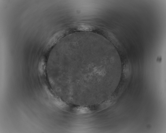 X0000111190322200907151356