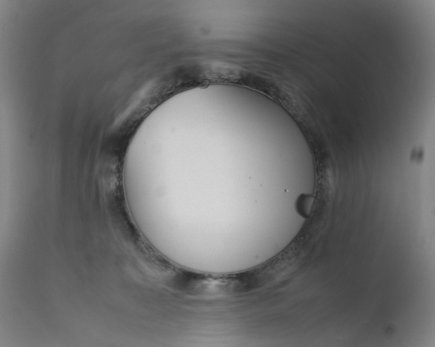 X0000111190323200907151356