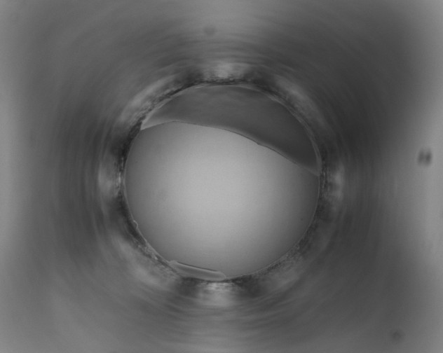 X0000111190324200907151356