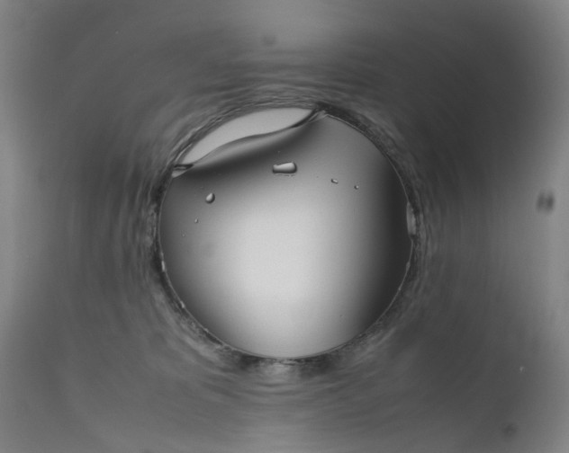 X0000111190325200907151356