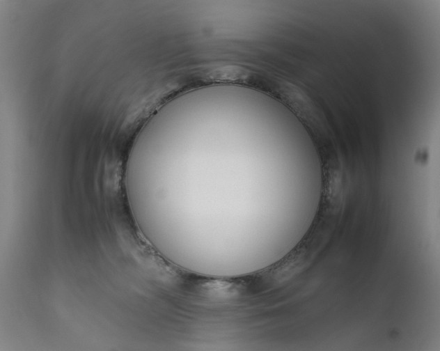 X0000111190326200907151356