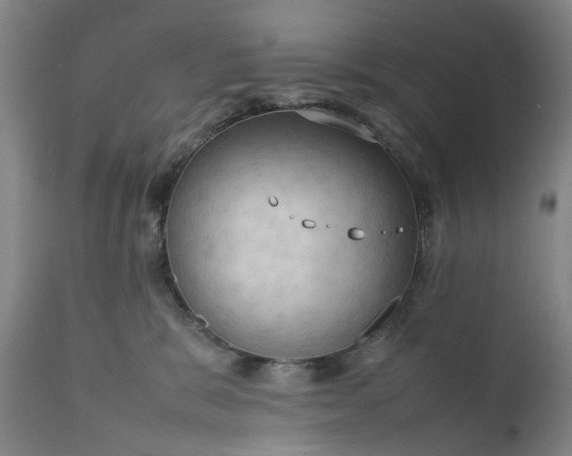 X0000111190327200907151356