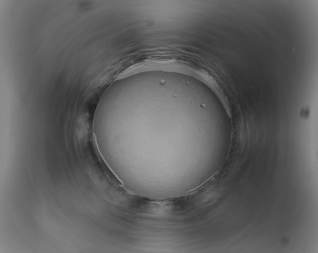 X0000111190328200907151356