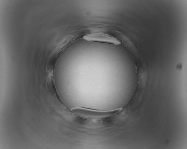 X0000111190329200907151355