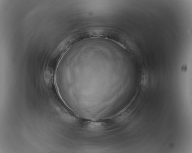 X0000111190332200907151355