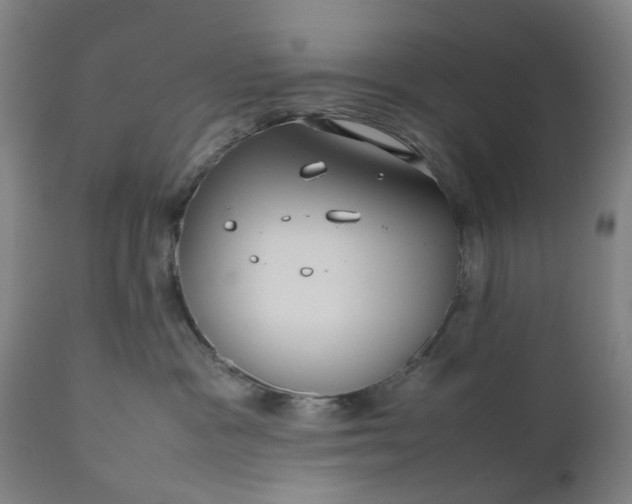 X0000111190333200907151355