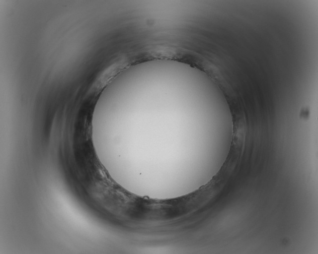 X0000111190334200907151355