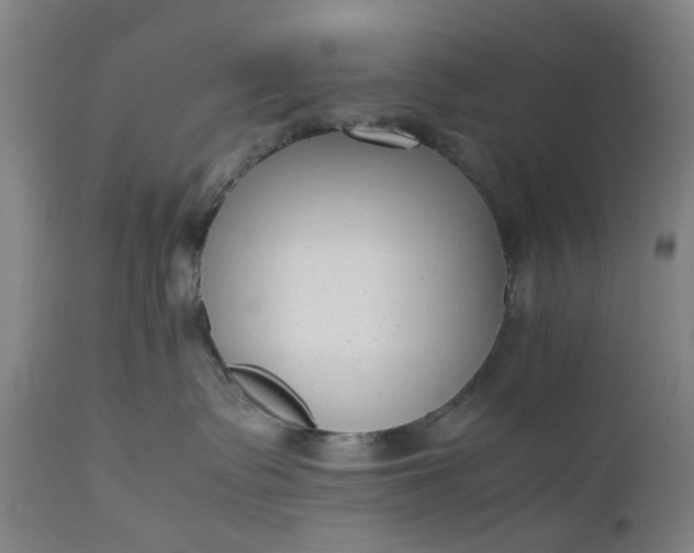 X0000111190335200907151355