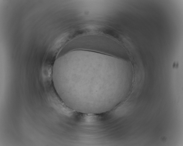 X0000111190336200907151355