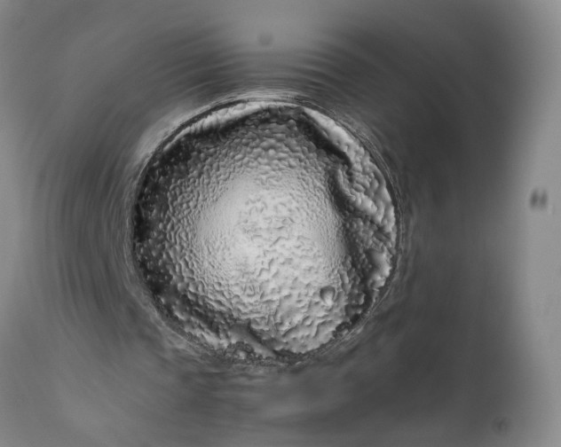 X0000111190337200907151354