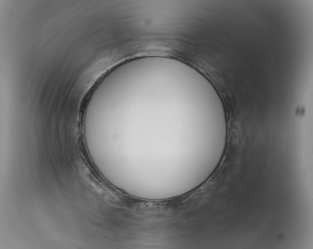 X0000111190338200907151354