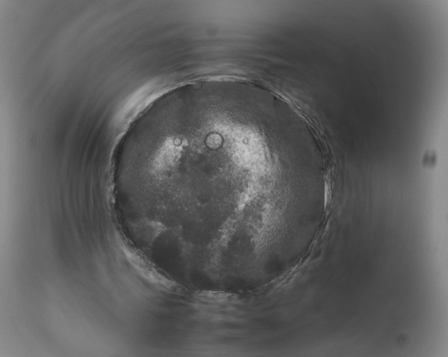 X0000111190339200907151354