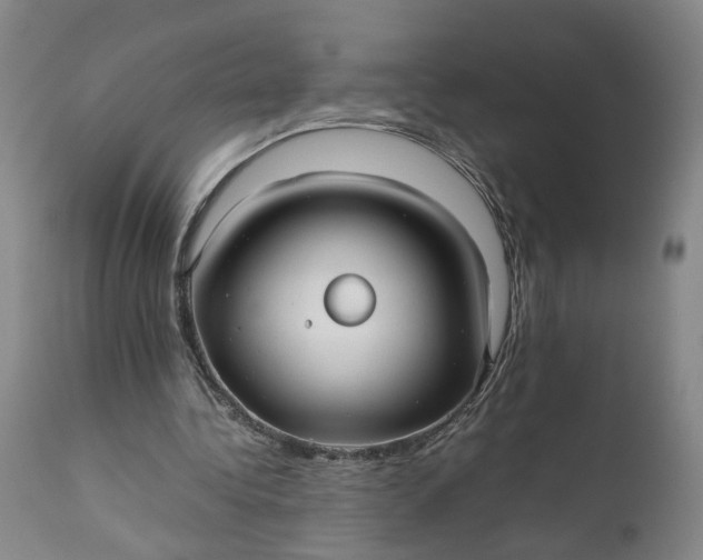 X0000111190340200907151354