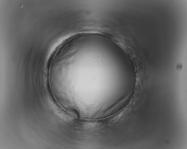 X0000111190342200907151354