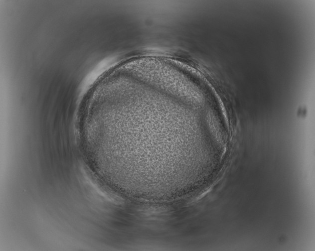 X0000111190343200907151355