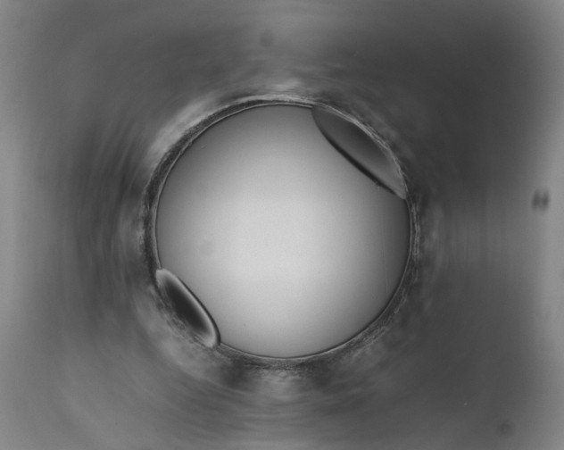 X0000111190344200907151355