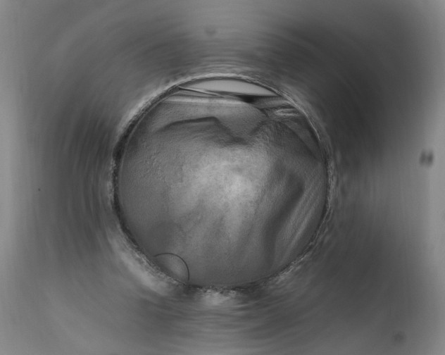 X0000111190346200907151355