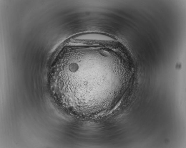 X0000111190347200907151355