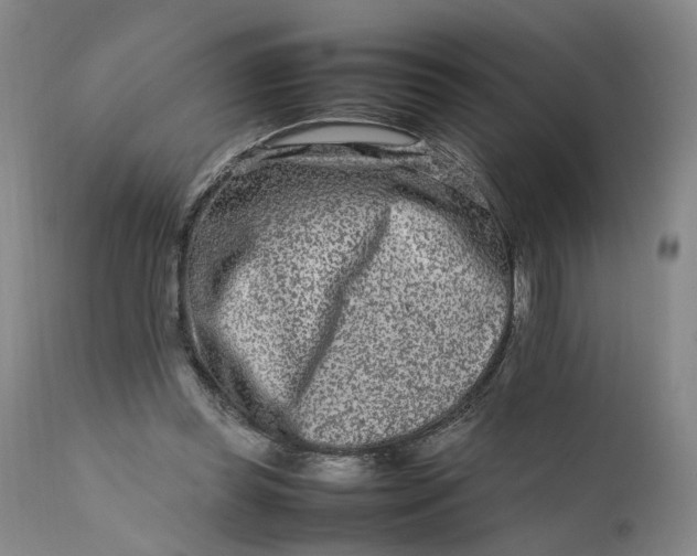 X0000111190349200907151355