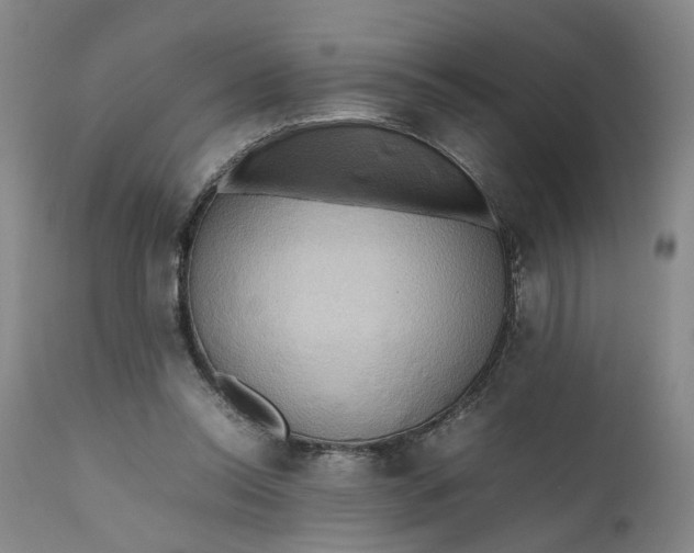 X0000111190350200907151355