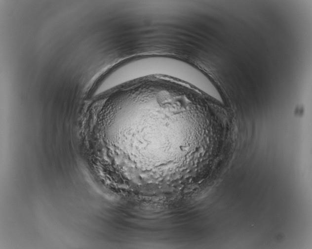 X0000111190351200907151355