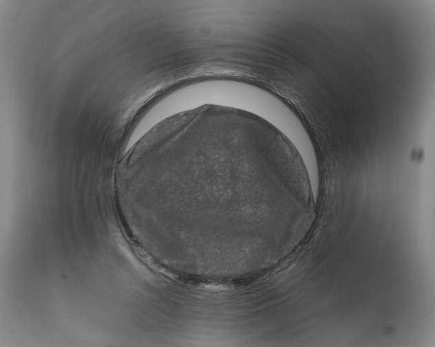 X0000111190352200907151355