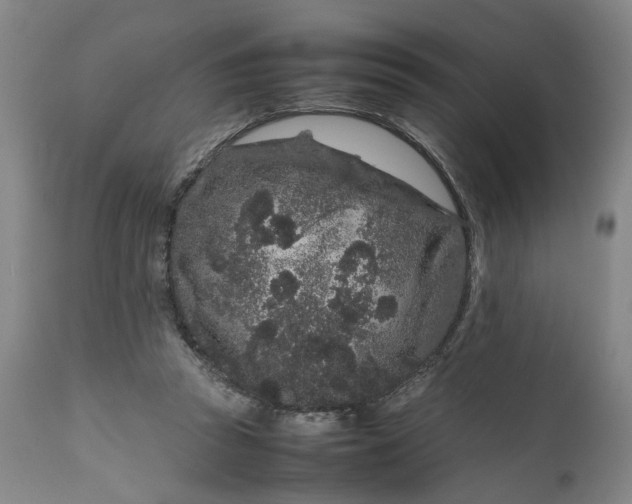 X0000111190353200907151355