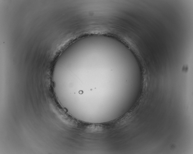 X0000111190354200907151355