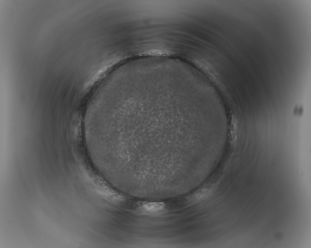 X0000111190355200907151355