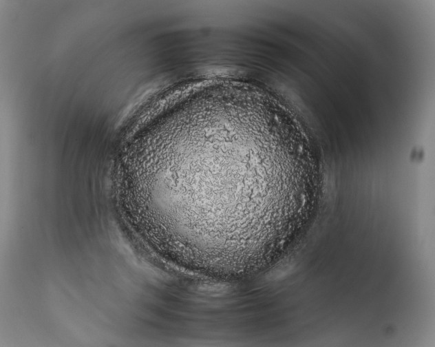 X0000111190357200907151355