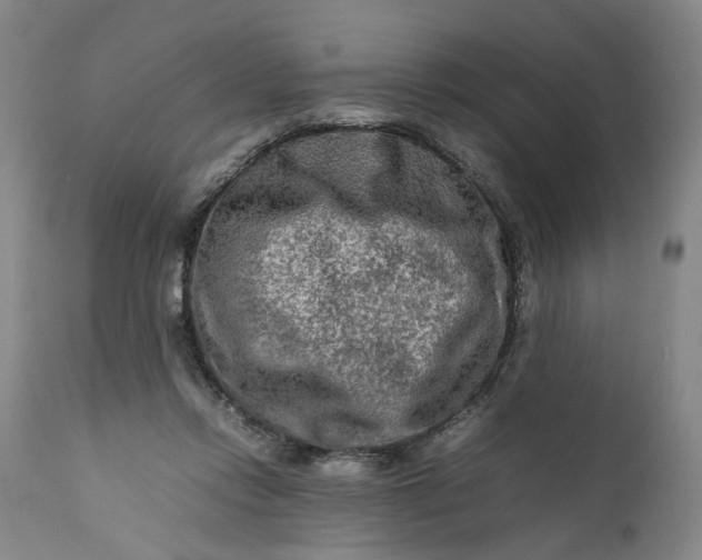 X0000111190358200907151355