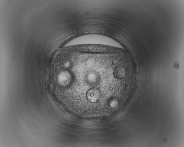 X0000111190359200907151355