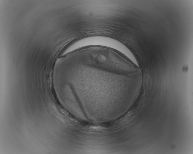 X0000111190360200907151355