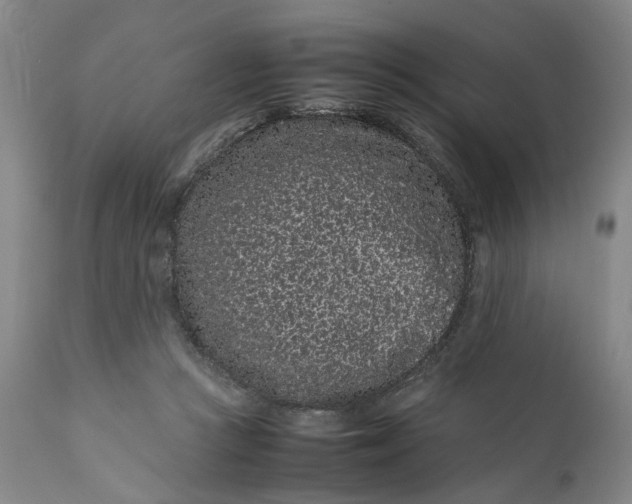 X0000111190361200907151355