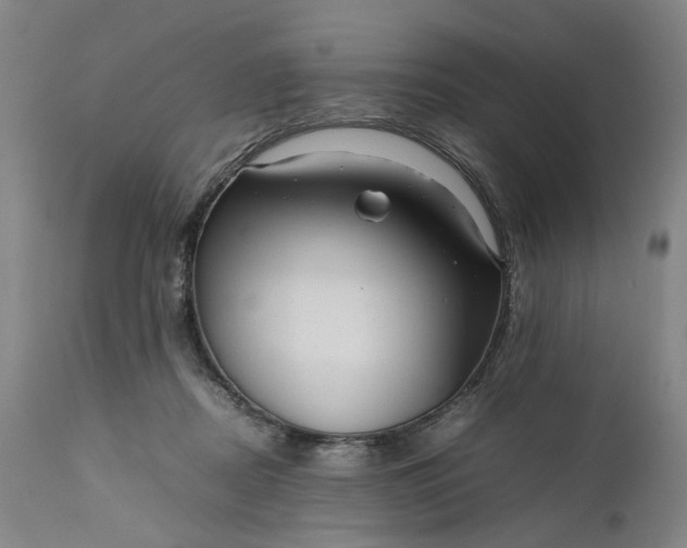 X0000111190362200907151355