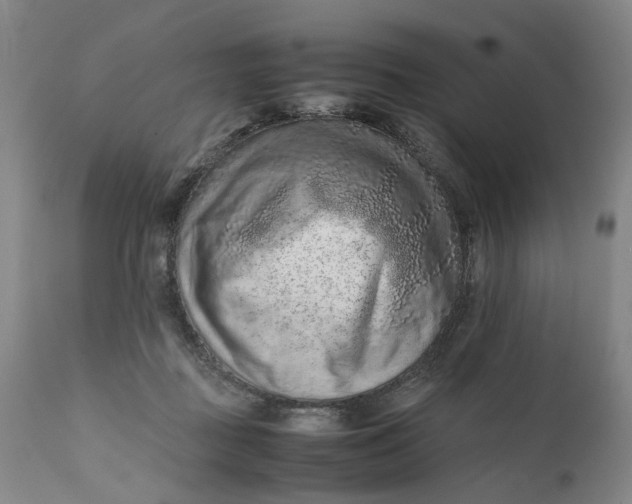 X0000111190363200907151355