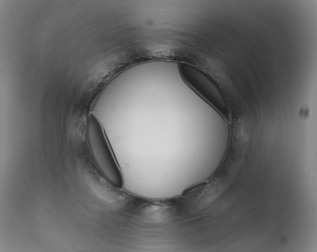 X0000111190364200907151355