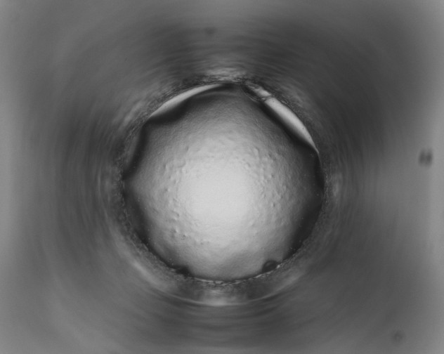 X0000111190365200907151355