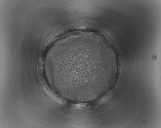 X0000111190366200907151355