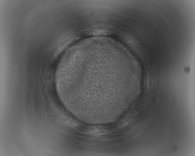 X0000111190367200907151355